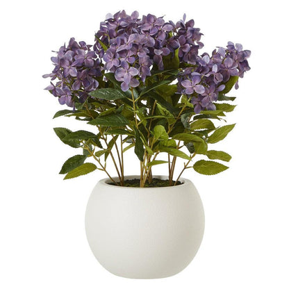 Purple Hydrangea Plant Pot