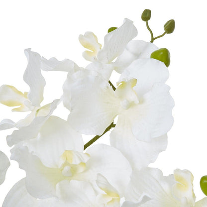 White Vanda Orchid Plant Pot