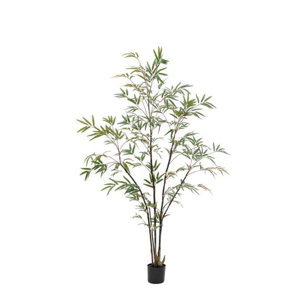 Potted Bamboo Tree Large