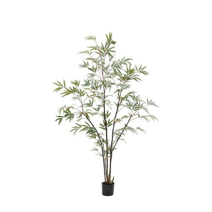 Potted Bamboo Tree Large