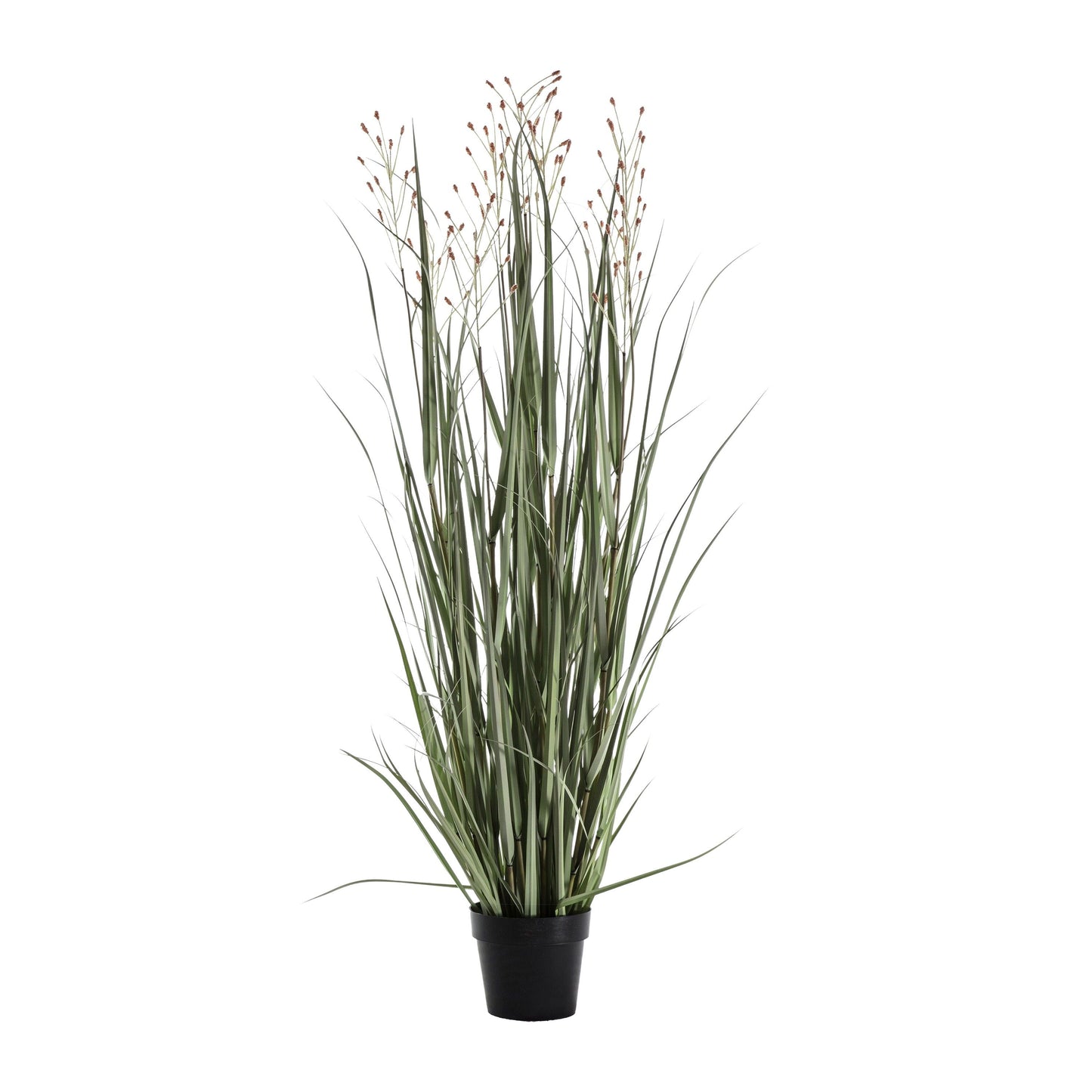 Potted Grass Green Russet
