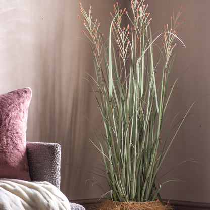 Potted Grass Green Russet