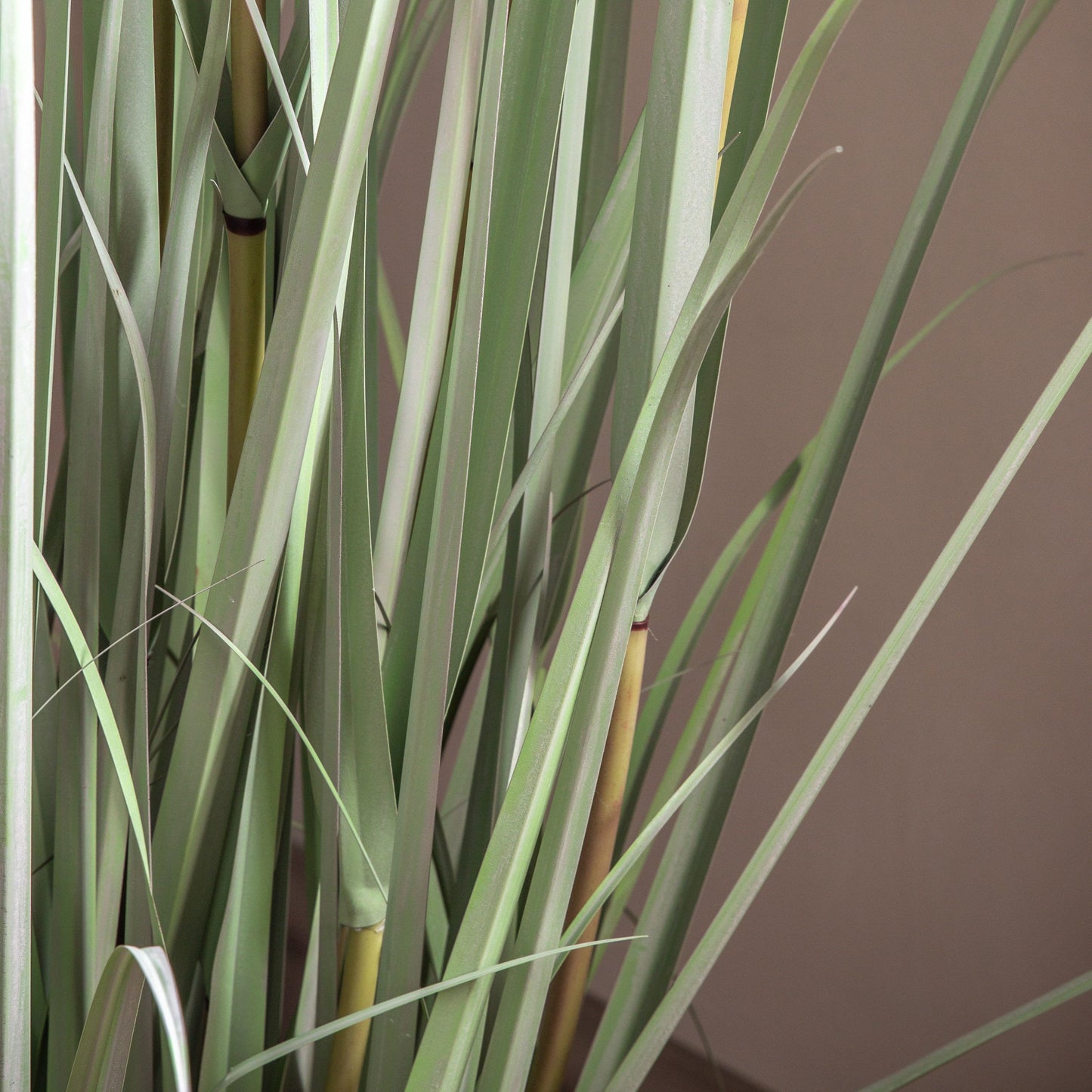 Potted Grass Green Russet