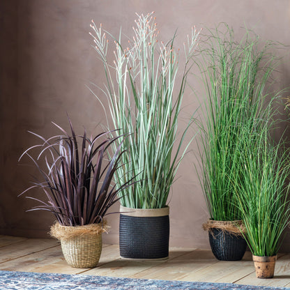 Potted Grass Green Russet