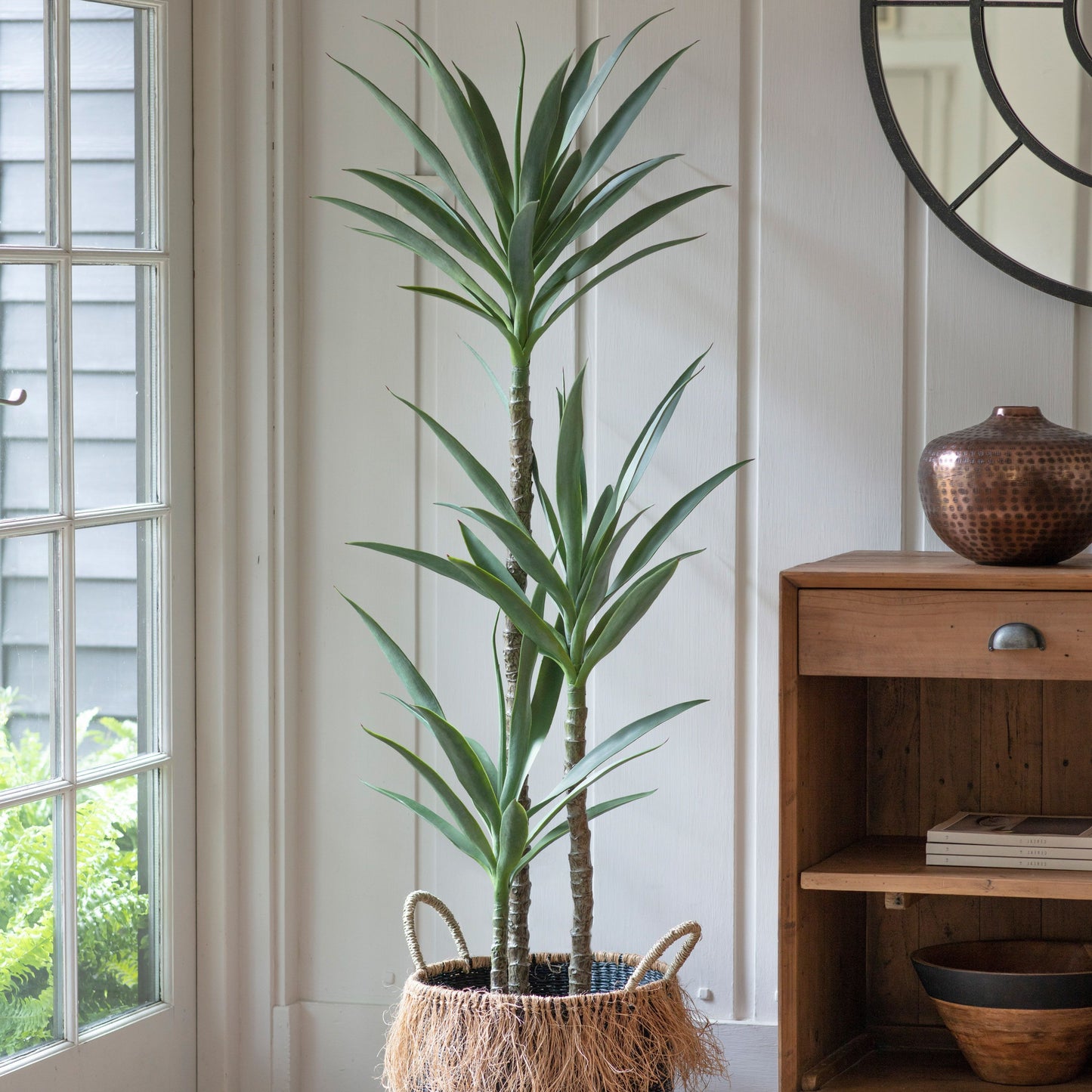 Yucca Tree Small