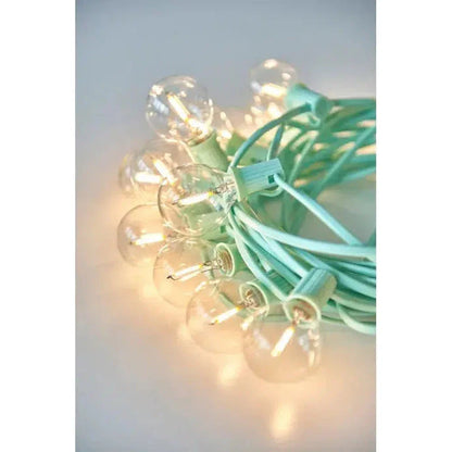 Festoon Teal